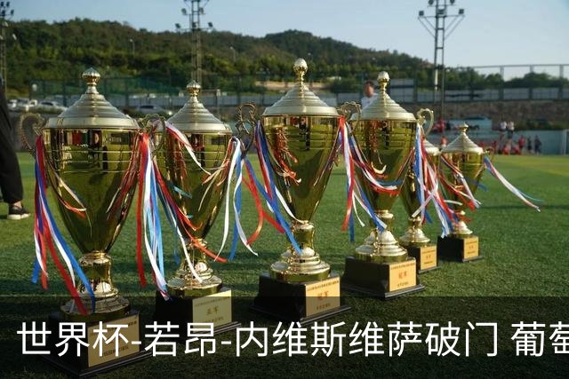 世界杯-若昂-内维斯维萨破门 葡萄牙半场暂1-1民主刚果