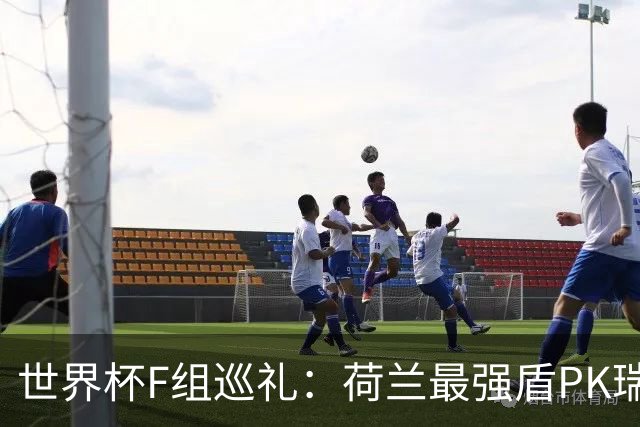 世界杯F组巡礼：荷兰最强盾PK瑞典犀利刀 日本短板明显