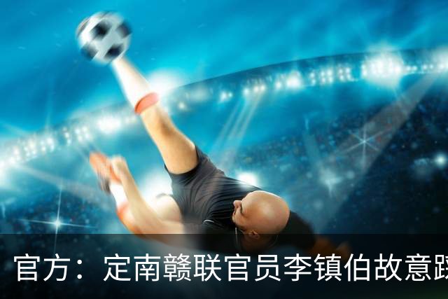 官方：定南赣联官员李镇伯故意踩踏裁判，被禁赛7个月+罚款11万